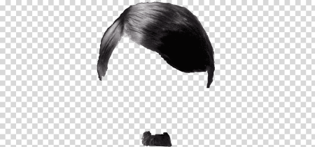 Усы Гитлера