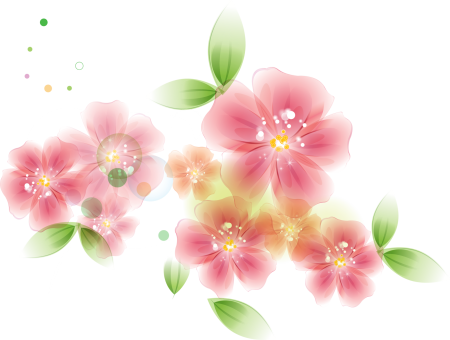 Subshrubby Peony Flower