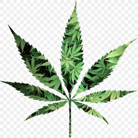 Канопля лист Cannabis