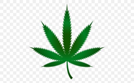 Лист марихуаны Cannabis