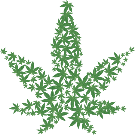 Лист каннабиса Sativa