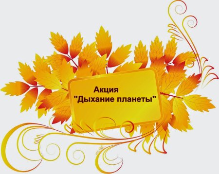 Спасибо вам учителя