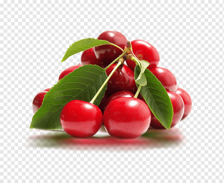 Плод вишни