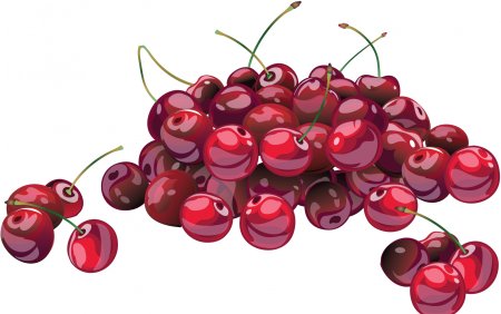 Вишня и черешня