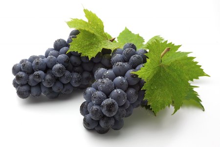 Blueberry виноград