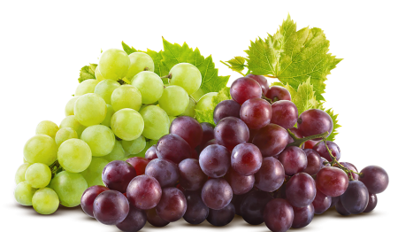 Узум меваси