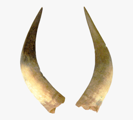 Devil Horns аниме вектор