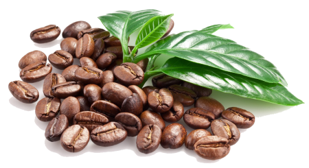 Coffea Arabica /кофе Арабика