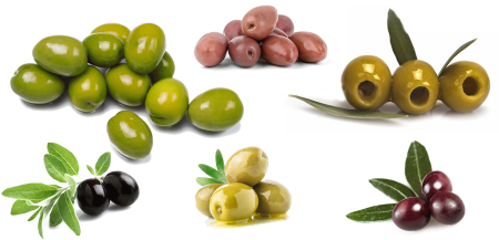 Ветка оливы