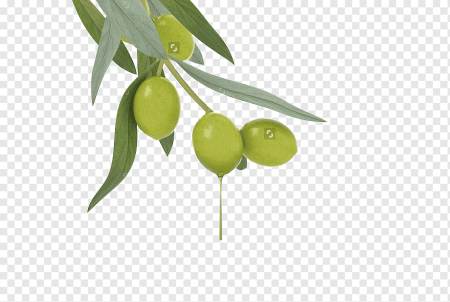 Мультяшный маслины