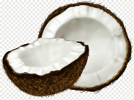 Коконат Кокос