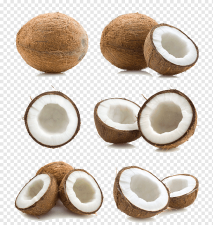 Кусок кокоса