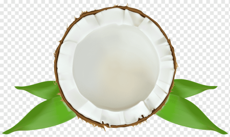 Кокос на белом фоне