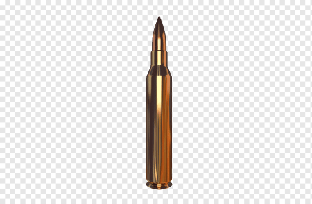 308 Win Калибр