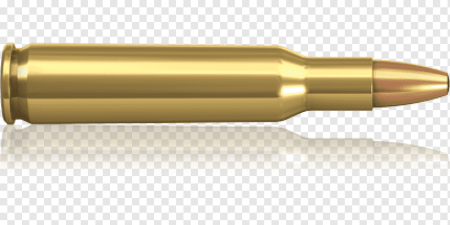 .300 Winchester Magnum