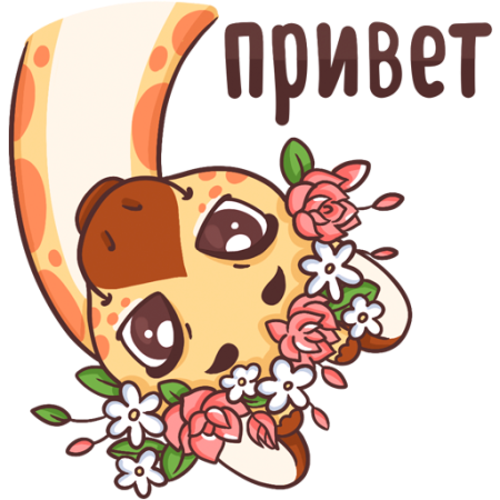 Hello на прозрачном фоне