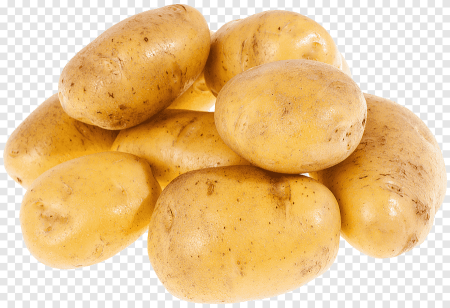 Картофель 'Russet Burbank'