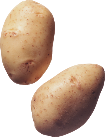 Картофель на белом фоне