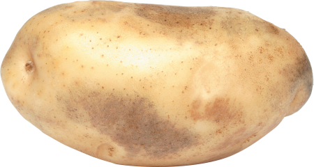 Картофель Юкон Голд