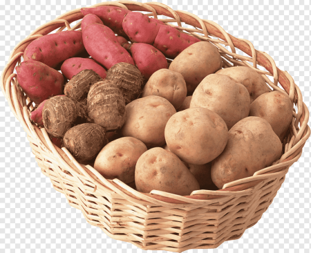 Картофель белый ранний