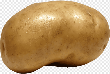 Сорт картошки Юкон Голд