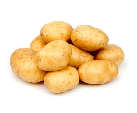 Картофель 'Russet Burbank'
