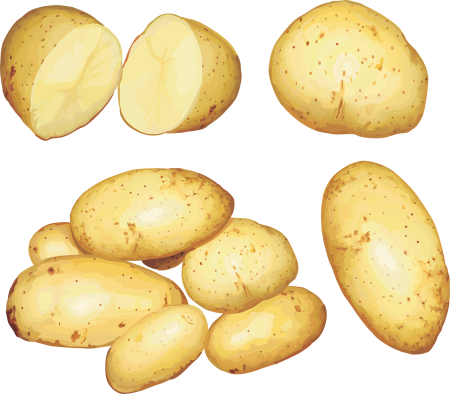 Картофель Юкон Голд