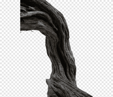 Дерево с корнями для фотошопа