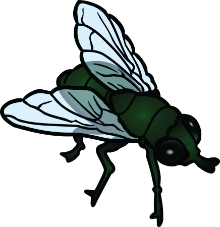 Fly Муха