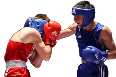 Боксер без фона