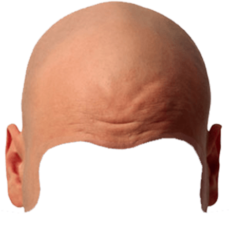 Лысина на прозрачном фоне