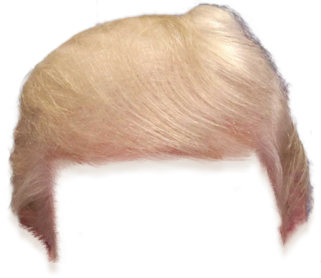 Причёска Трампа для фотошопа