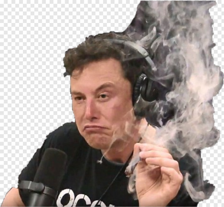 Elon Musk smile