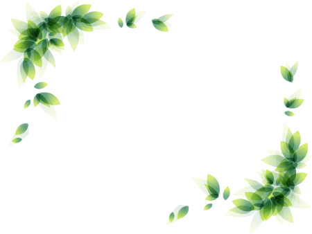 Зелень без фона