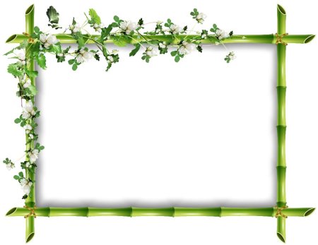 Рамка зеленая вектор (50 фото)