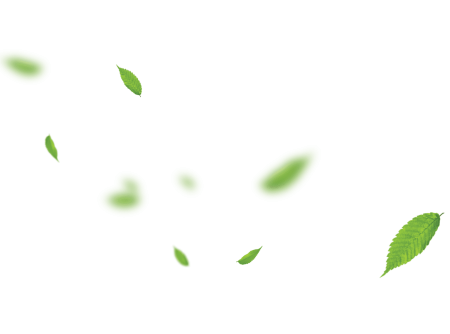 Летающие листья