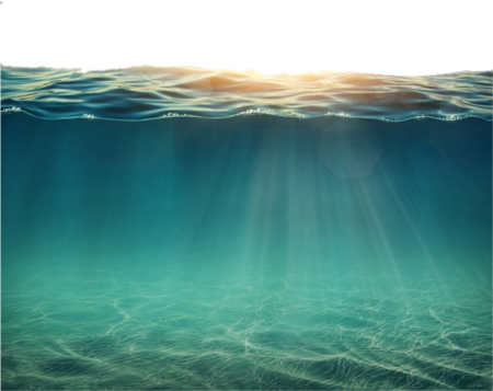 Под водой и над водой
