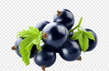 Black Currant черная смородина