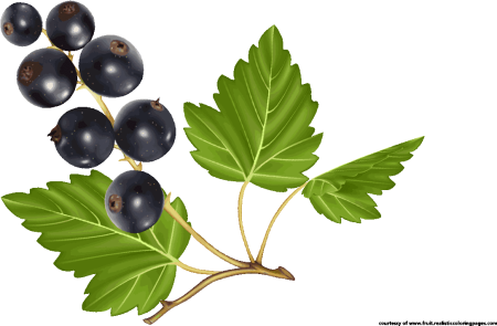 Acai Berry табак