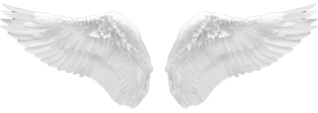 Крылья ангела вектор (50 фото)