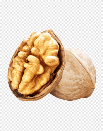 Грецкий орех на белом фоне