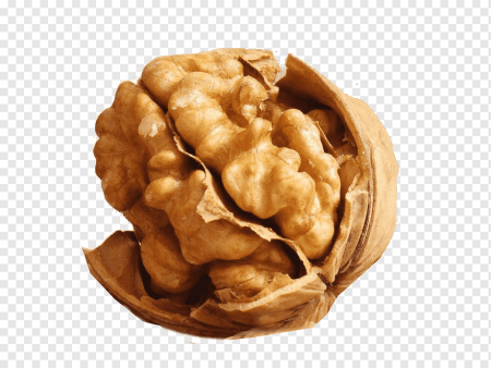 Грецкий орех плод костянка
