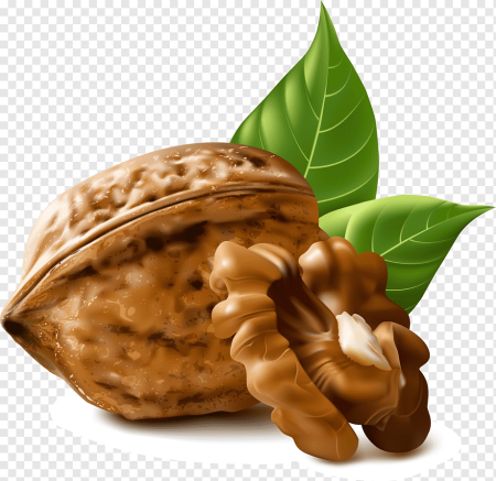 Белый грецкий орех