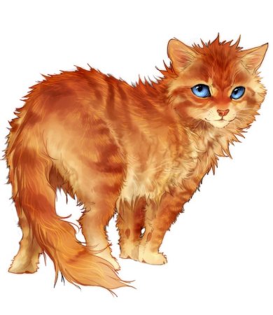 Кошка на прозрачном фоне