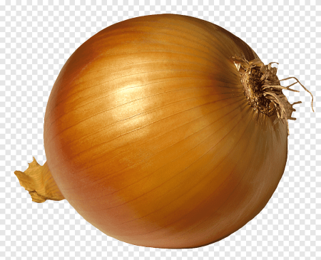 Лук овощ