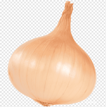 Лук шалот PNG
