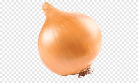 Лук овощ