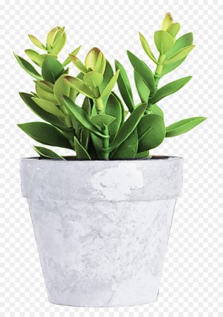 Горшок с цветами