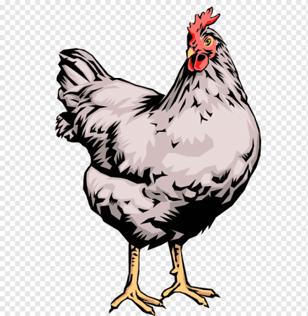 Нарисовать курицу