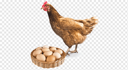 Курочка с яичками